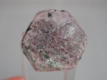 Magnesiotaramite on Ruby